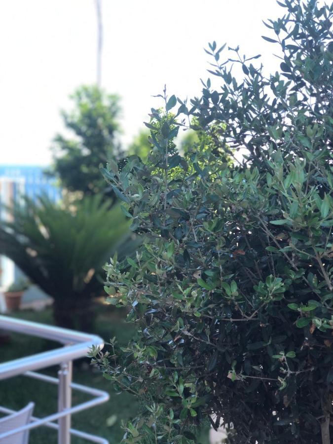 Sunset Apartments Berdenesh Σαράντα Εξωτερικό φωτογραφία